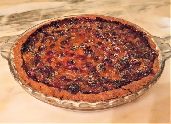 Blueberry Custard Pie